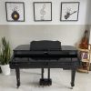 Đàn piano điện Roland RG-3F hàng cao cấp
