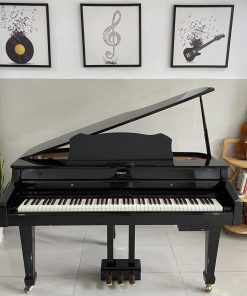 Piano điện Roland RG-3F PE