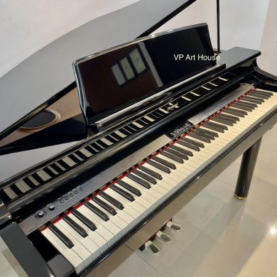 Piano điện Roland RG-1F PE