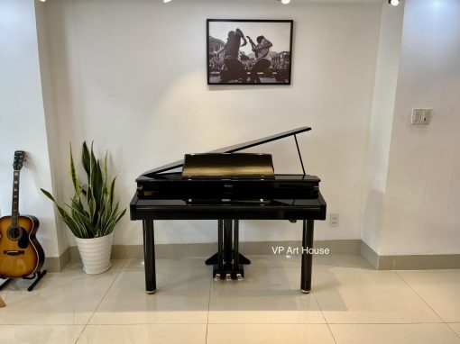 Piano điện Roland RG-1F thiết kế Baby Grand nghệ thuật