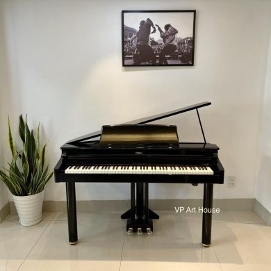 Piano điện Roland RG-1F PE