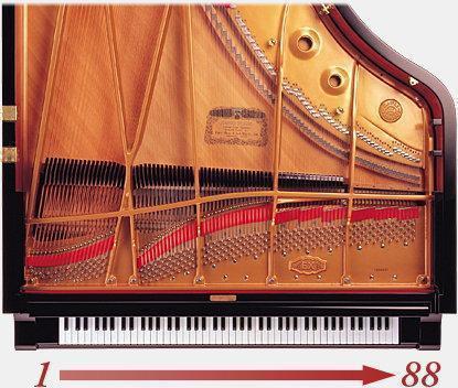 Kawai CN29 DW 88 key piano sampling