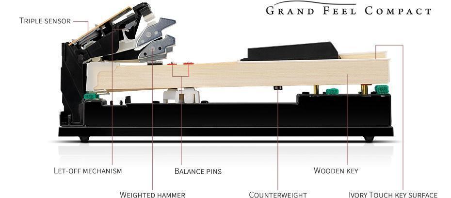 Hệ phím gỗ Grand Feel Compact Kawai CA49 A