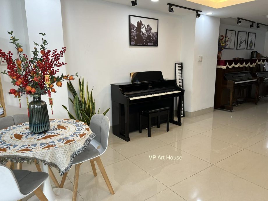 Roland HP 507 PE