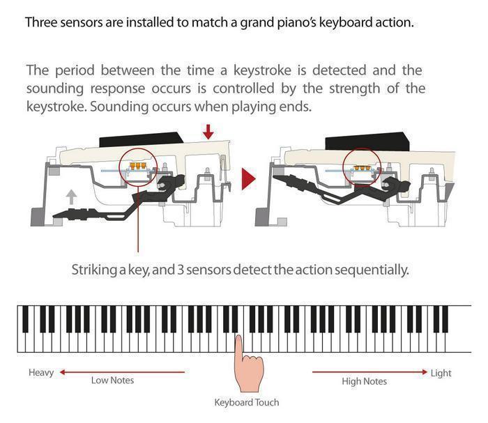 Bàn phím Smart Scaled Hammer Action piano Casio PX 730