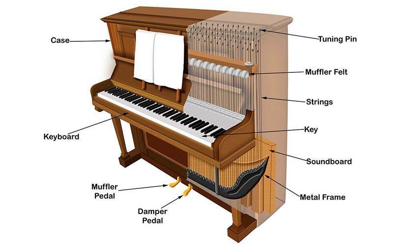 Cấu tạo của đàn piano Upright