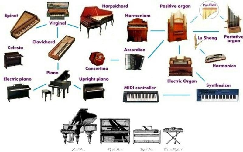 Các tên gọi khác nhau của đàn piano là những từ ngữ mô tả, là câu chuyện về sự phát triển