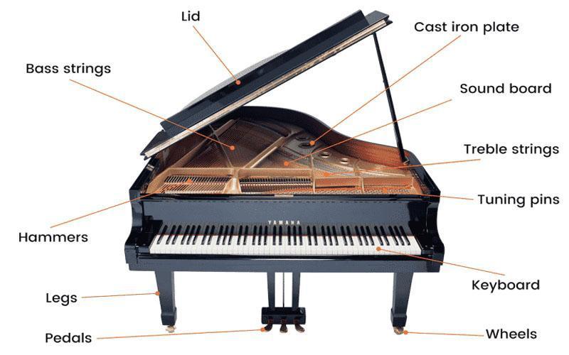 Các thành phần của đàn piano người mới học cần biết