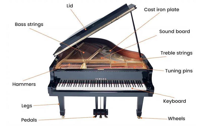 Cấu tạo của một cây đàn piano