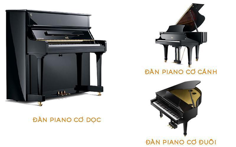 Có ba loại đàn piano cơ mới phổ biến là đàn piano cơ đuôi, đàn piano cơ cánh và đàn piano cơ dọc