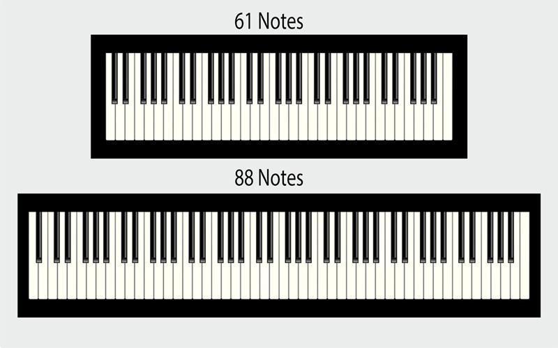 Đàn piano có hai loại phím chính: phím trắng và phím đen