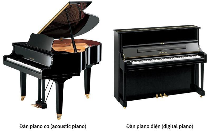 Đàn piano grand và upright (thẳng đứng) là hai loại đàn piano được sử dụng phổ biến