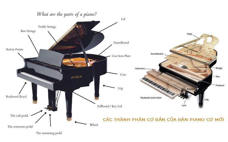Đàn piano mới bao gồm 6 thành phần chính