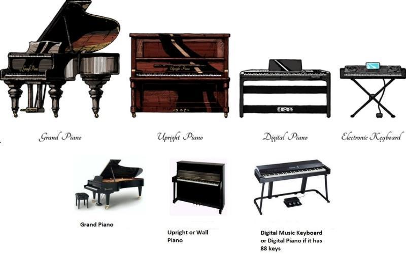 Khi bạn mới bắt đầu học đàn piano, có một số loại đàn piano phổ biến mà bạn có thể lựa chọn