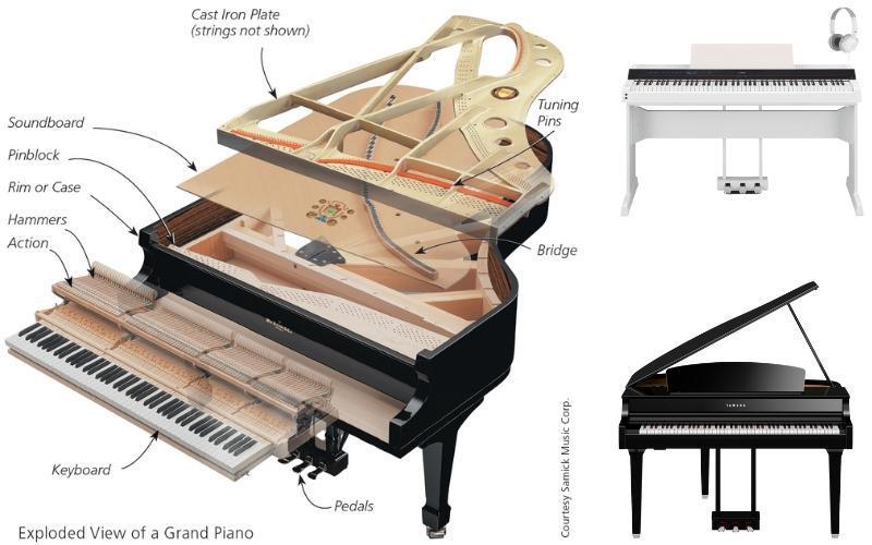 Khi lựa chọn địa chỉ để mua đàn piano Yamaha, có một số tiêu chí quan trọng mà bạn nên xem xét
