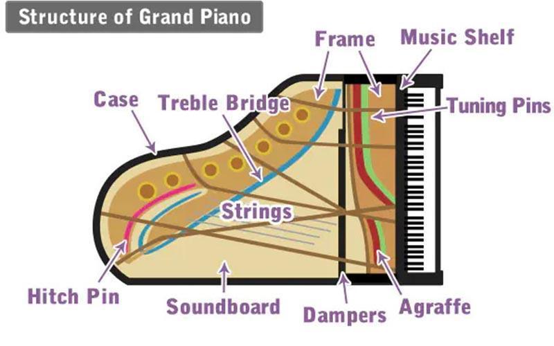 Sơ đồ cấu tạo đàn piano điện