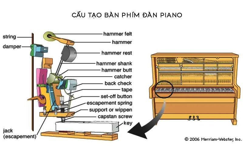 Cấu tạo của bàn phím đàn piano bao gồm 6 thành phần chính