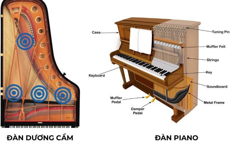 Đàn dương cầm và piano là hai nhạc cụ hoàn toàn khác nhau