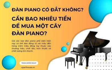 Đàn piano có đắt không? Cần bao nhiêu tiền để mua một cây đàn Piano?