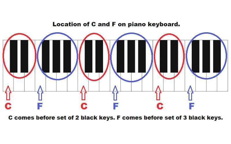 Để vẽ phím đàn piano, bạn cần tuân theo 6 bước