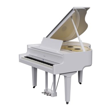 ROLAND GP 9 2