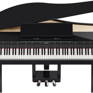 ROLAND GP3 PE 2