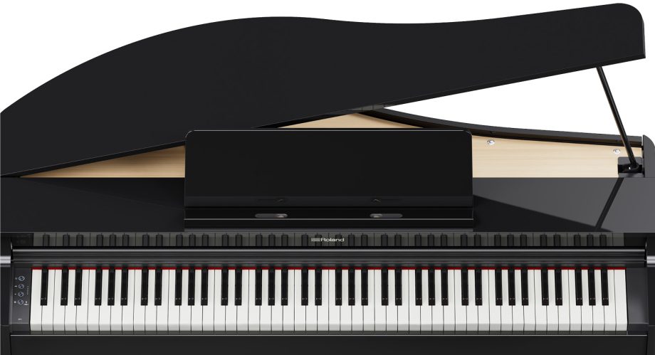 ROLAND RG 3PES 2