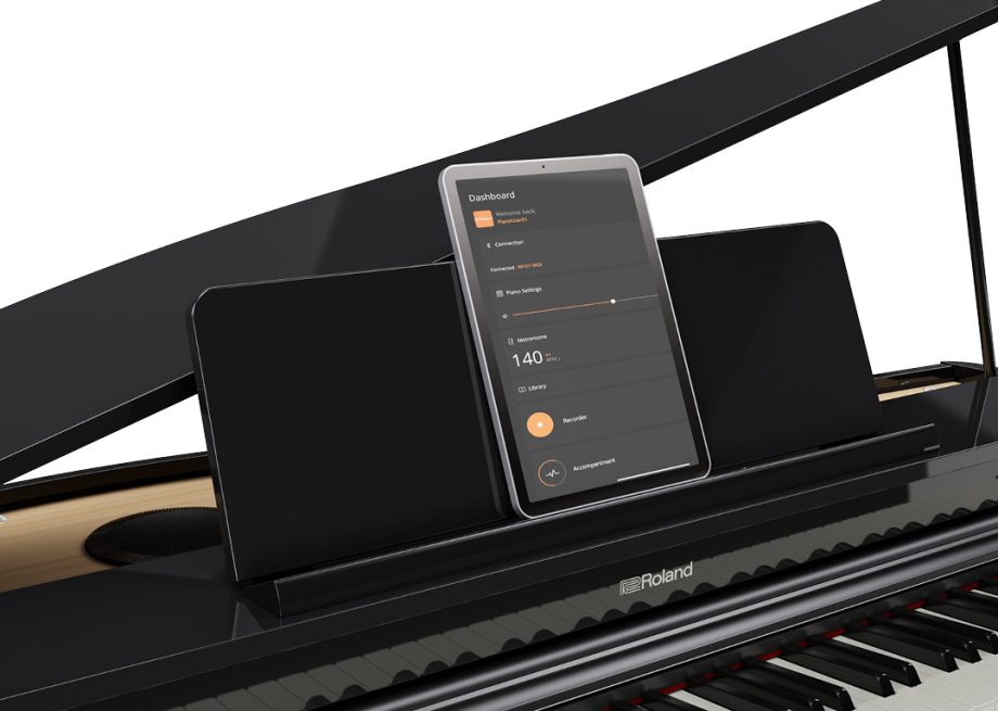 ROLAND RG 3PES 6