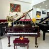 dan piano WENDL & LUNG MOD 151 Professional III