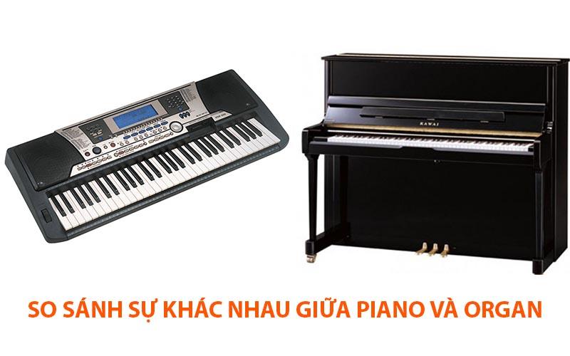 So sánh sự khác nhau giữa piano và organ