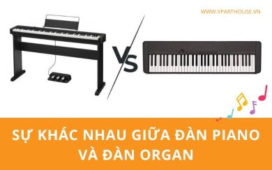 Sự khác nhau giữa piano và organ